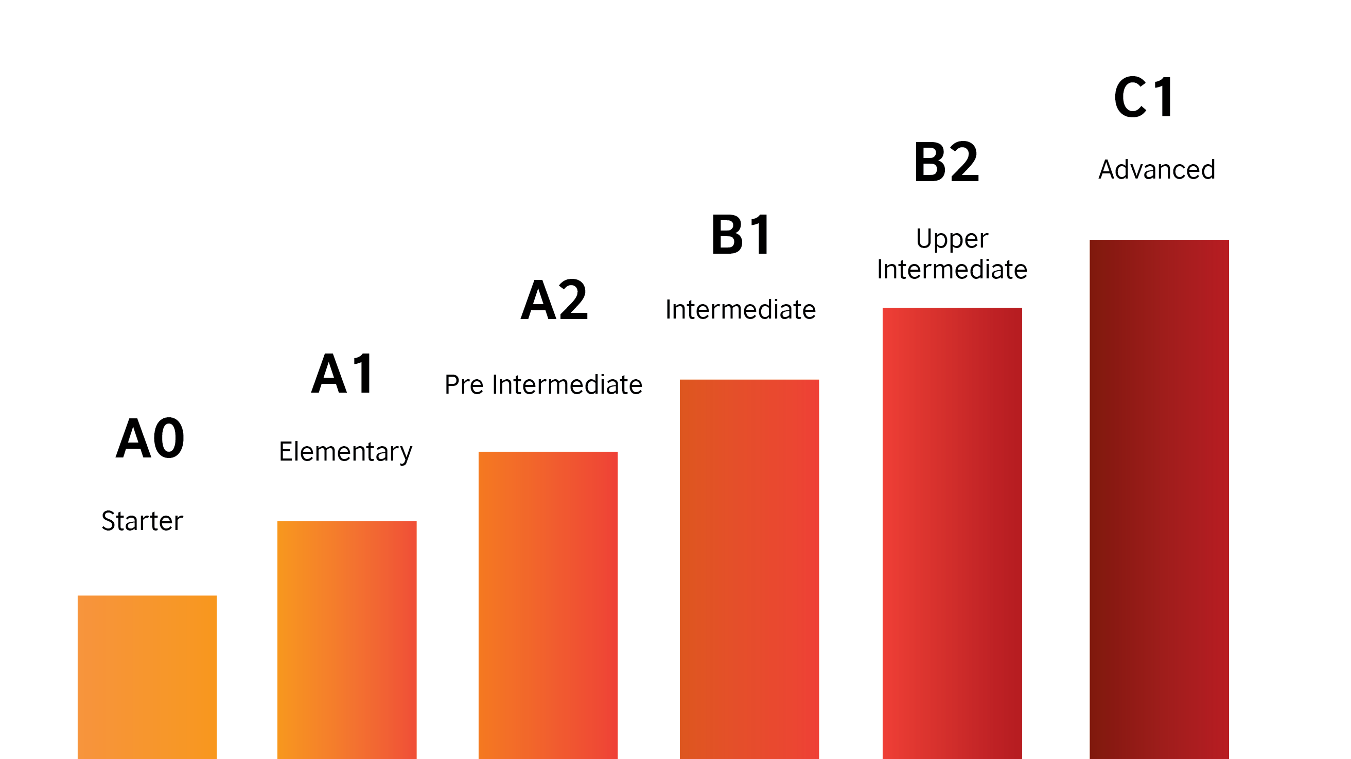  Intermediate 